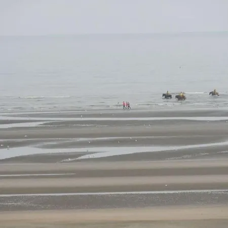 Noordpas Comfortable * Koksijde