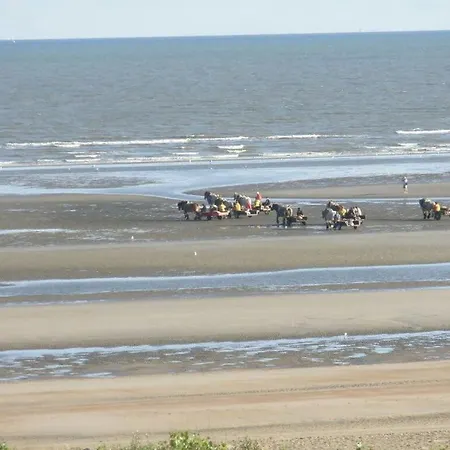 Feriehus Noordpas Comfortable Koksijde